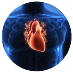 Sem Contraindicação